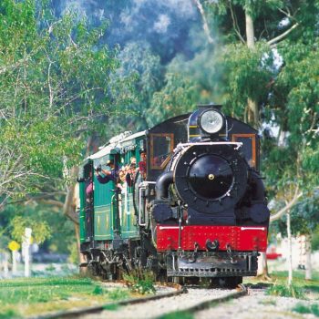 leasant-point-steam-train-csit